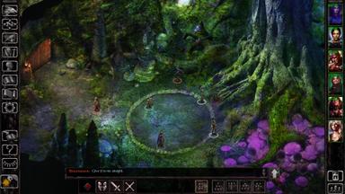 Baldur's Gate: Siege of Dragonspear PC Fiyatları