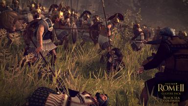 Total War: ROME II -  Black Sea Colonies Culture Pack Fiyat Karşılaştırma
