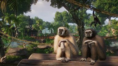 Planet Zoo: Tropical Pack Fiyat Karşılaştırma