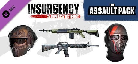 Insurgency: Sandstorm - Assault Pack