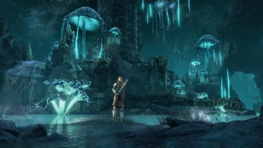 The Elder Scrolls Online - Greymoor PC Key Fiyatları