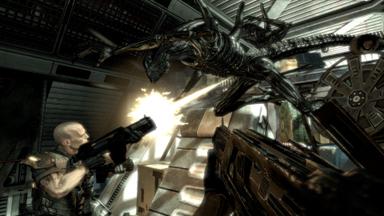 Aliens vs. Predator™ PC Key Fiyatları