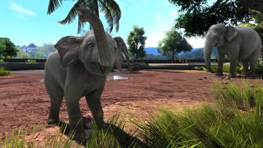 Zoo Tycoon: Ultimate Animal Collection PC Fiyatları