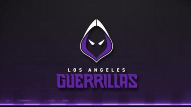 Call of Duty League™ - Los Angeles Guerrillas Pack 2023