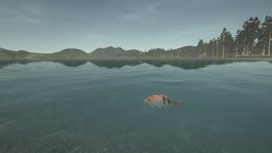 Ultimate Fishing Simulator - Taupo Lake DLC PC Key Fiyatları