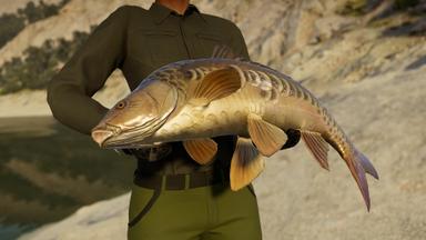Call of the Wild: The Angler™ – Spain Reserve