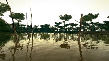 Ultimate Fishing Simulator - Amazon River DLC PC Fiyatları