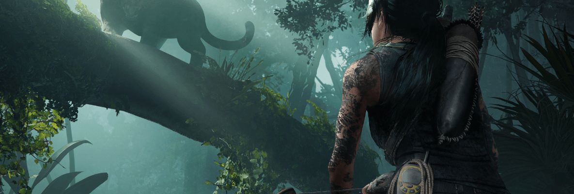 Tomb Raider Serisi, Lara Croft Oyunları ve Diğer Projeleri