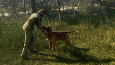 theHunter: Call of the Wild™ - Bloodhound Fiyat Karşılaştırma