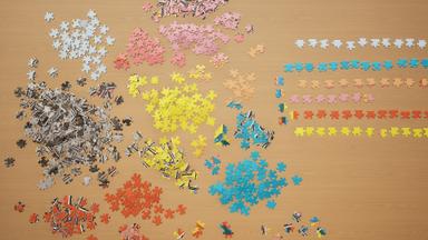 Jigsaw Puzzle Dreams PC Fiyatları